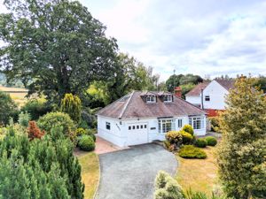 Photo 1- click for photo gallery